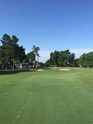 view of golf course green with clear blue sky